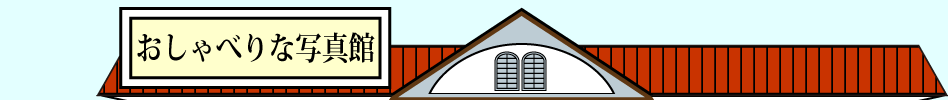 おしゃべりな写真館ロゴ