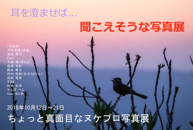 Trim-scapeポストカード