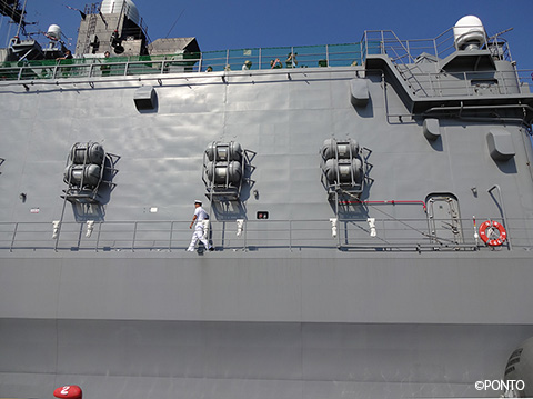 しらねを護岸から見上げた写真