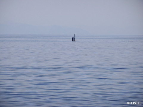 海上に潜望鏡だけが浮かんでいる写真