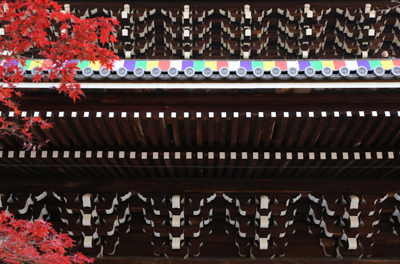 美しい山門と赤い紅葉の写真