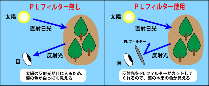 PLフィルターの効果を説明した図